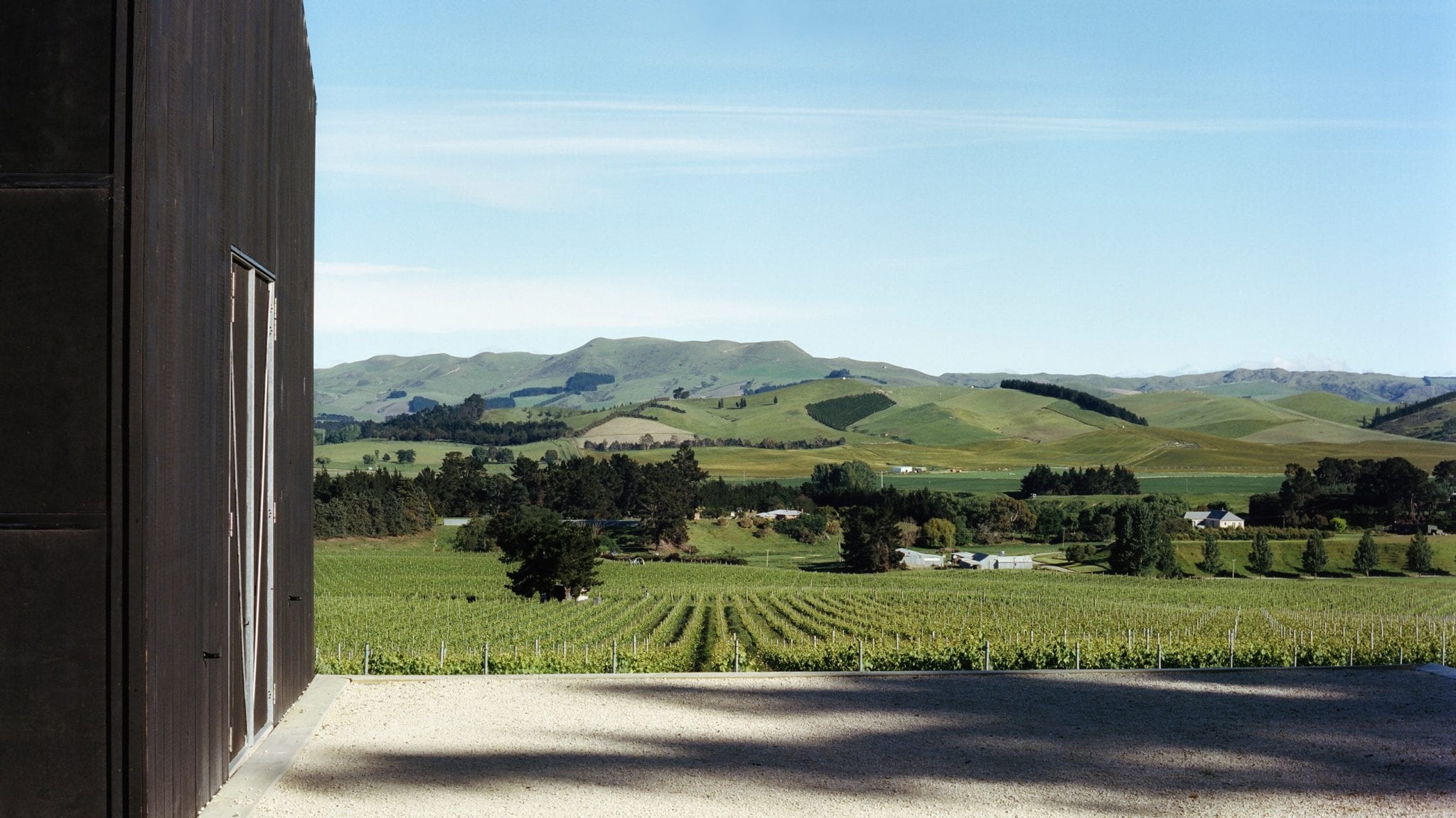 Black Estate Vineyard - North Canterbury | Home Vineyard 2 Black Estate Vineyard - North Canterbury | Home Vineyard 2