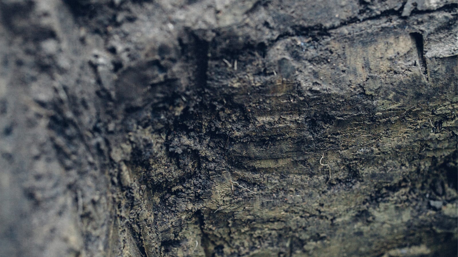 Black Estate Vineyard - North Canterbury | Home Vineyard Soil Black Estate Vineyard - North Canterbury | Home Vineyard Soil