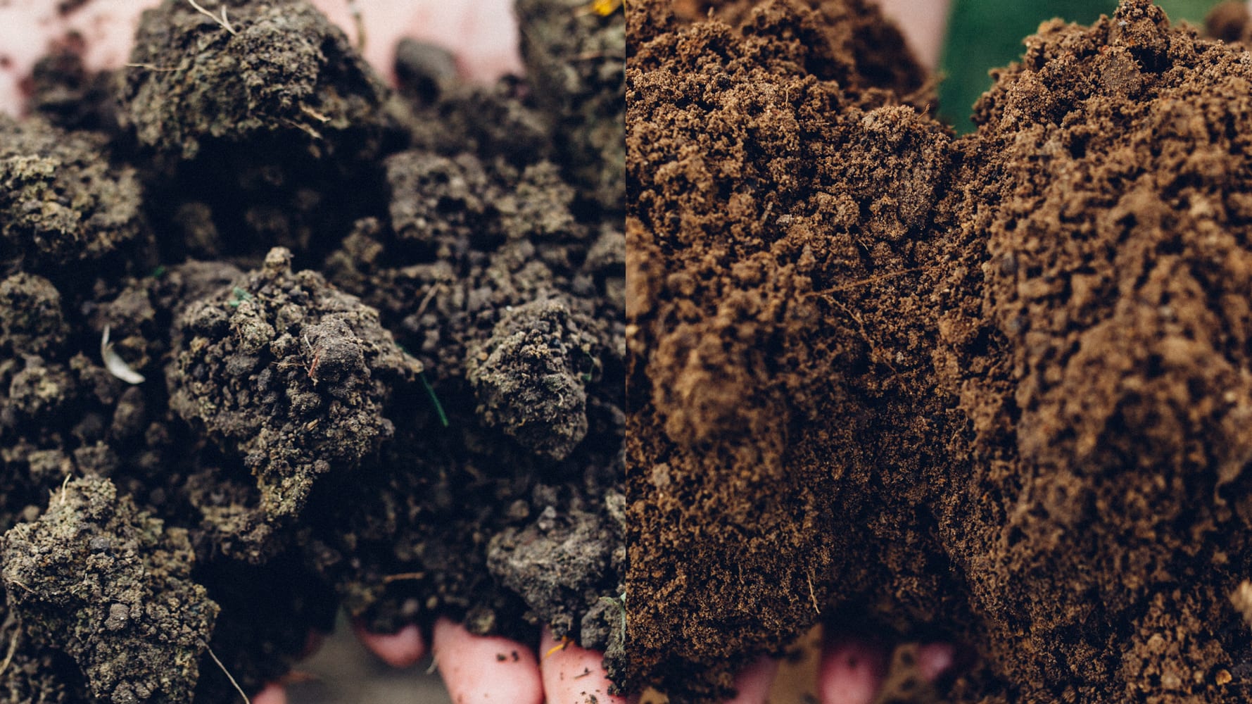 Black Estate Vineyard - North Canterbury | Netherwood Vineyard Soil Black Estate Vineyard - North Canterbury | Netherwood Vineyard Soil