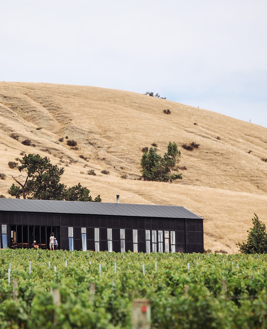 Black Estate Vineyard - North Canterbury | Restaurant Photo Black Estate Vineyard - North Canterbury | Restaurant Photo