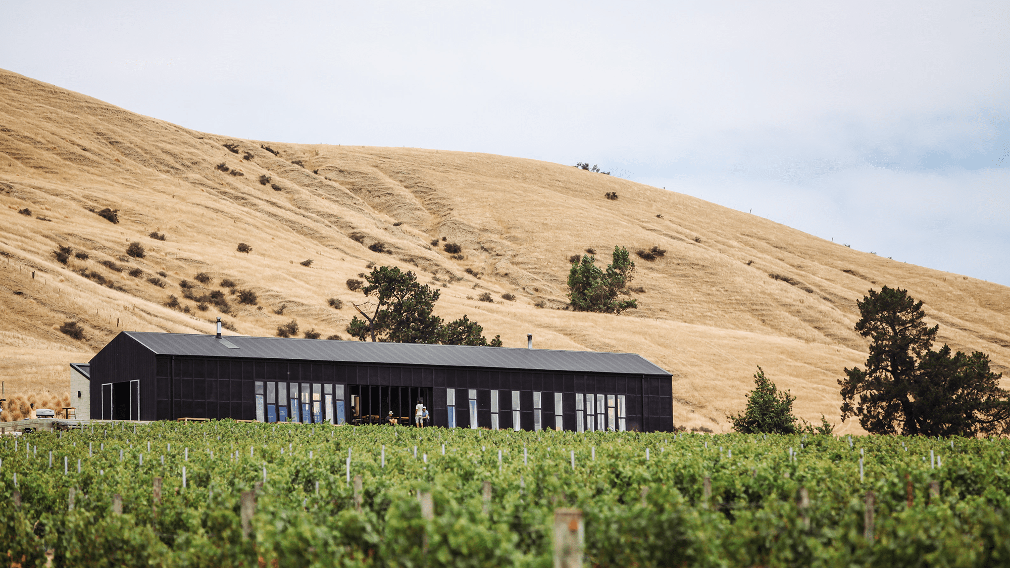 Black Estate Vineyard - North Canterbury | Restaurant 2 Black Estate Vineyard - North Canterbury | Restaurant 2