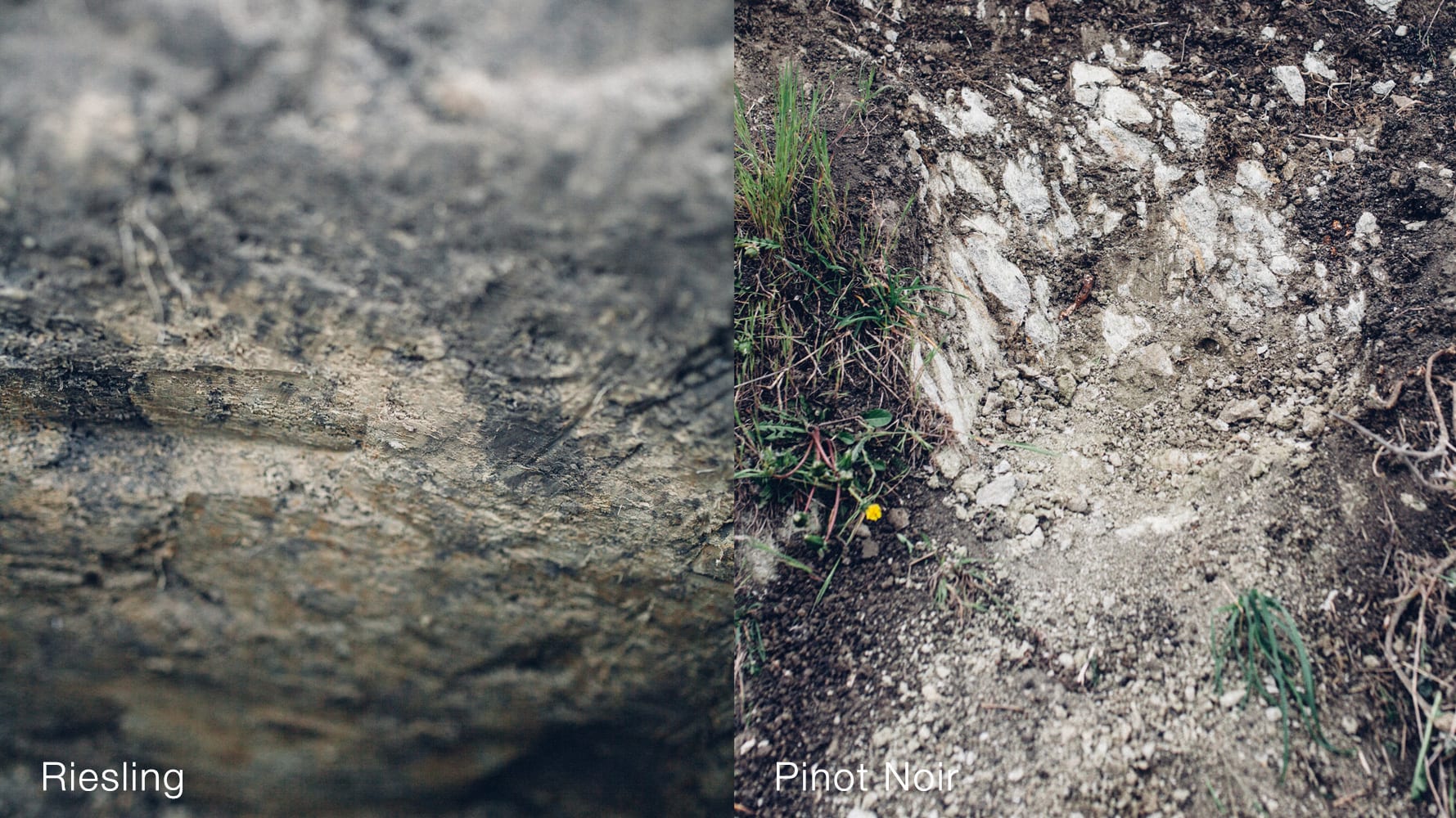 Black Estate Vineyard - North Canterbury | Damsteep Vineyard Soil Black Estate Vineyard - North Canterbury | Damsteep Vineyard Soil