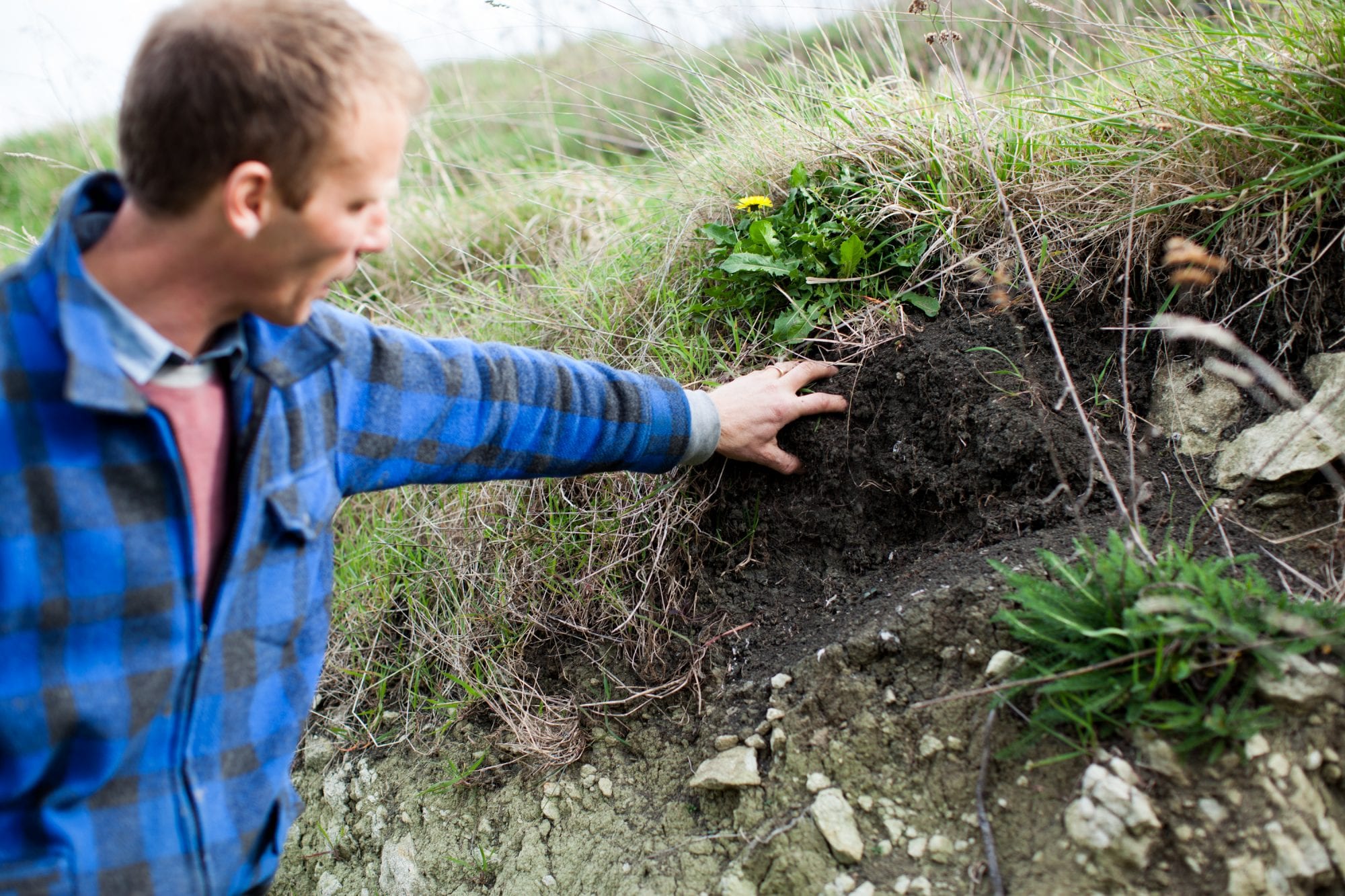 Black Estate Vineyard - North Canterbury | Limestone and Clay derived soil