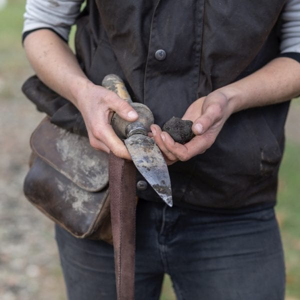 Black Estate Vineyard - North Canterbury | Truffles 3
