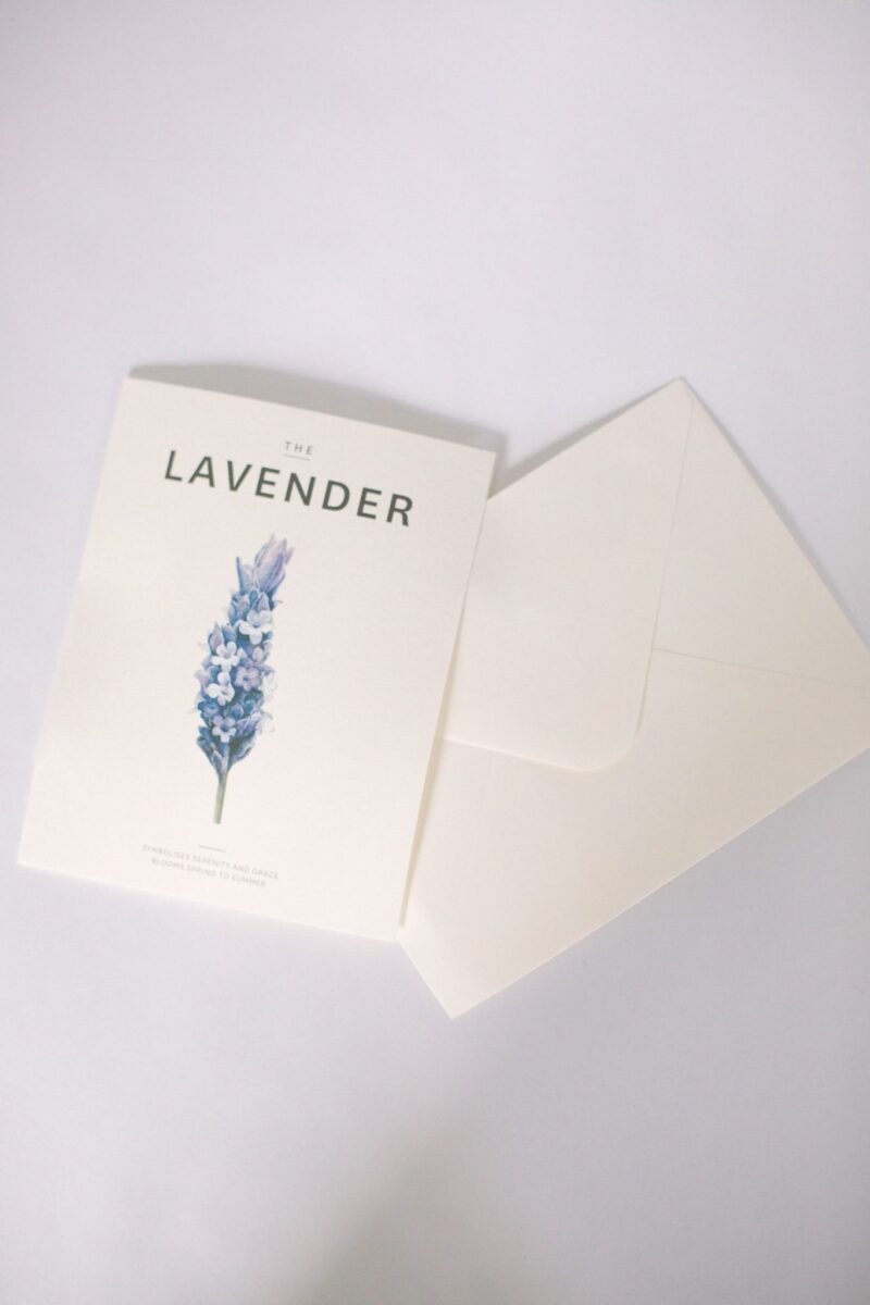Black Estate Vineyard - North Canterbury | The Lavender